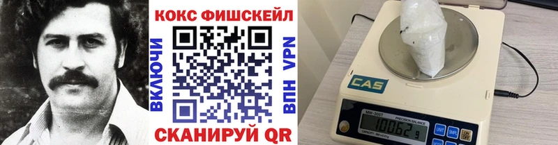 купить  сайты  Усинск  COCAIN Fish Scale 