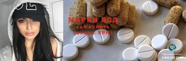 стаф Аркадак