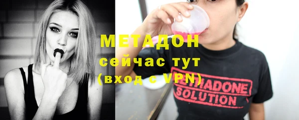 стаф Аркадак
