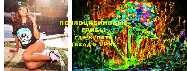 стаф Аркадак