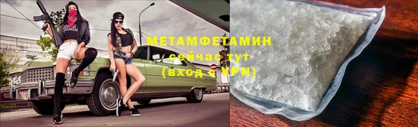 трава Арсеньев